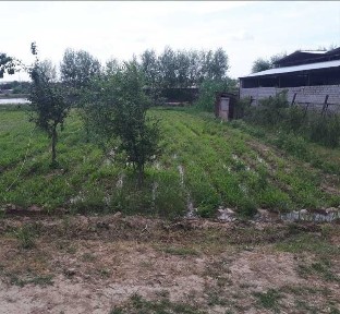 Ташкентская область, Назарбек