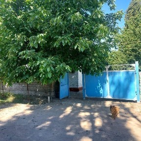 Ташкентская область, Янгиюль