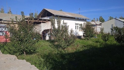 Ташкентская область, Янгибазар