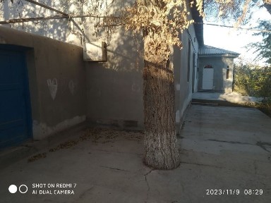 Питнак, Шижоат кўчаси 22