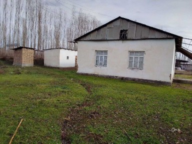 Ташкентская область, Нурафшан (Тойтепа)