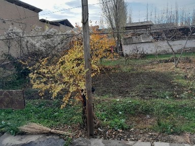 Ташкентская область, Ташкент, Яшнабадский район