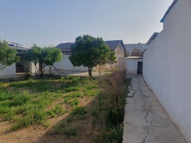 Кашкадарьинская область, Карши