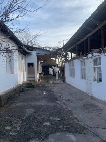 Ташкентская область, Янгибазар