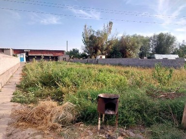 Ташкентская область, Чиназ