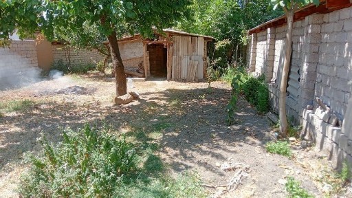 Ташкентская область, Янгибазар