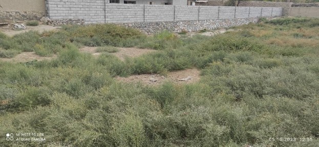 Навоийская область, Кармана