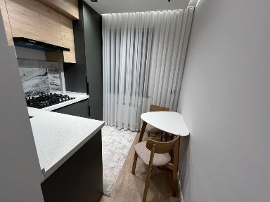 Ташкентская область, Алмалык