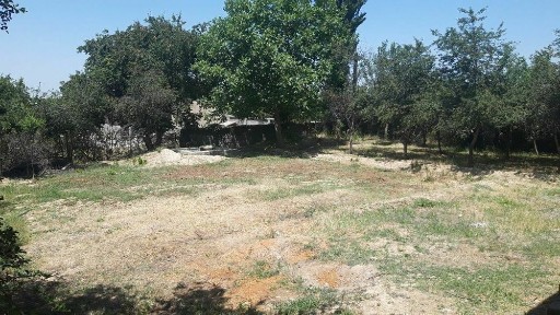 Ташкентская область, Паркент