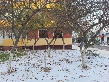 Сырдарьинская область, Гулистан