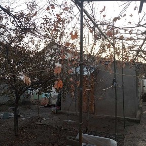 Ташкентская область, Ташкент, Яшнабадский район