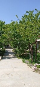 Самаркандская область, Каттакурган