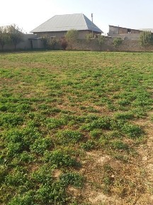 Кашкадарьинская область, Карши