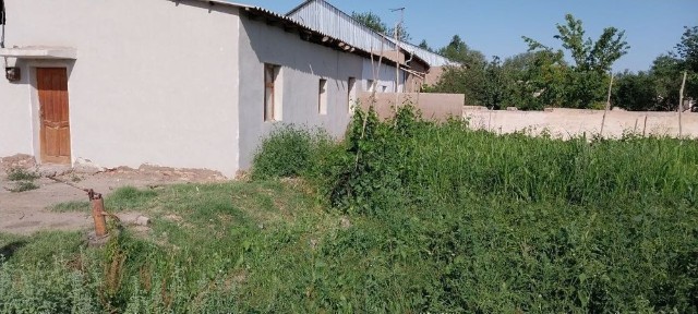 Uy sotiladi oladigan odam bolsa