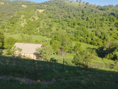 Ташкентская область, Газалкент