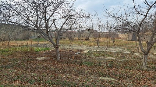 Навоийская область, Навои