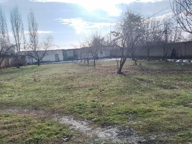 Ташкентская область, Янгибазар