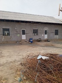 Джизакская область, Заамин