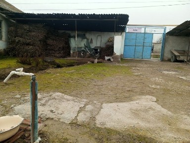 Ташкентская область, Чиназ