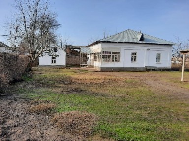 Ташкентская область, Нурафшан (Тойтепа)