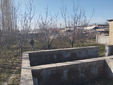 Ташкентская область, Янгибазар