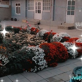 Үй ховли, дом учаски