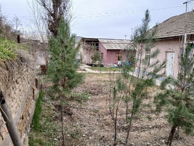 Ташкентская область, Янгиюль