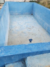 Ташкентская область, Искандар