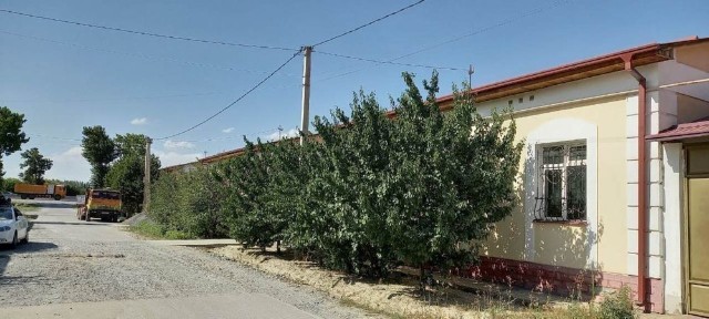 Самаркандская область, Джамбай