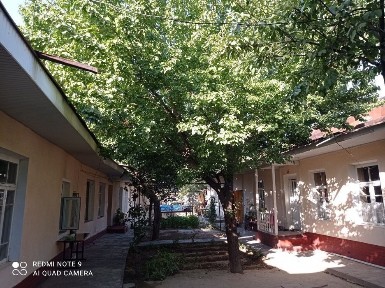 Ташкентская область, Ташкент, Шайхантахурский район