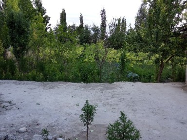 Ферганская область, Маргилан