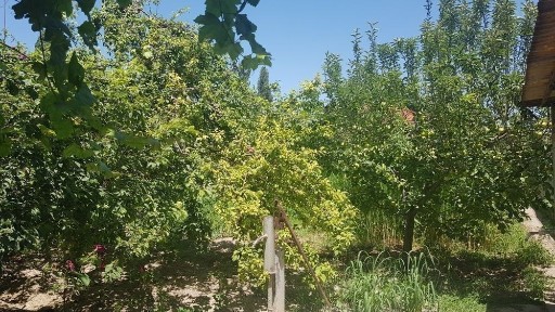 Ташкентская область, Чирчик