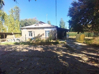 Ташкентская область, Ташморе