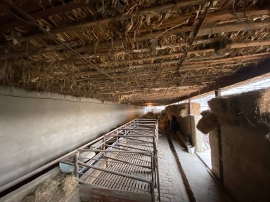 Ташкентская область, Янгиюль