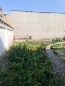 Ташкентская область, Ташкент, Бектемирский район