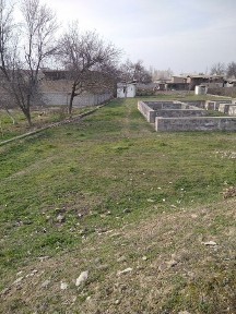 Ташкентская область, Нурафшан (Тойтепа)