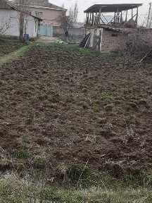 Ташкентская область, Янгибазар