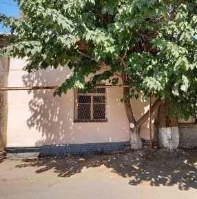 Ташкентская область, Ташкент, Мирабадский район