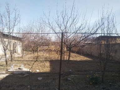 Ташкентская область, Зангиата