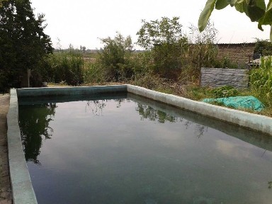 Ташкентская область, Ташморе