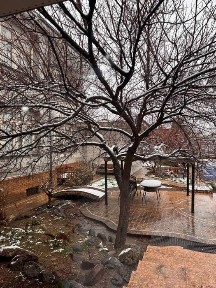 Ташкентская область, Ташкент, Мирзо-Улугбекский район