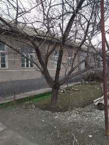 Xovli uy zudlik bilan sotiladi