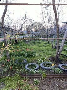 Ташкентская область, Чирчик