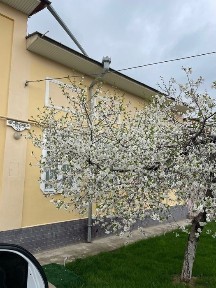 Ташкентская область, Ташкент, Алмазарский район