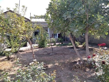 Ташкентская область, Ташкент, Учтепинский район