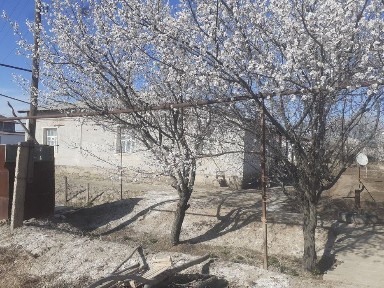 СРОЧНО! Нокис район центрында жай сатылады.