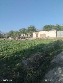 Сурхандарьинская область, Термез