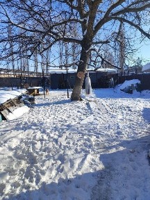 Продаю дом с участком