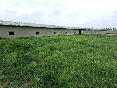 Самаркандская область, Самарканд