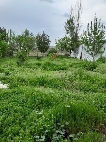 Ташкентская область, Ташкент, Яшнабадский район